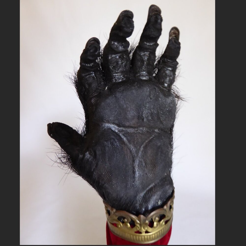 16” REAL TAXIDERMY “CURSED” MONKEY PAW HAND IN GLASS DOME DISPLAY BASE ODDITY - Picture 8 of 15